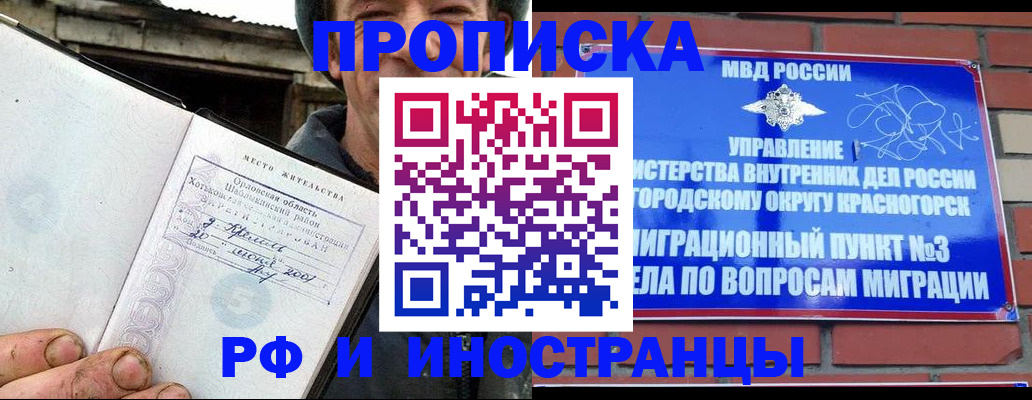 регистрация для школы в Мурманской области